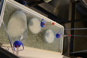 /Gallery/Events/ColonelBeer/Day 1 - 17.JPG